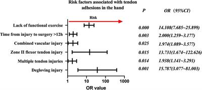 Risk factors associated with tendon adhesions after hand tendon repair